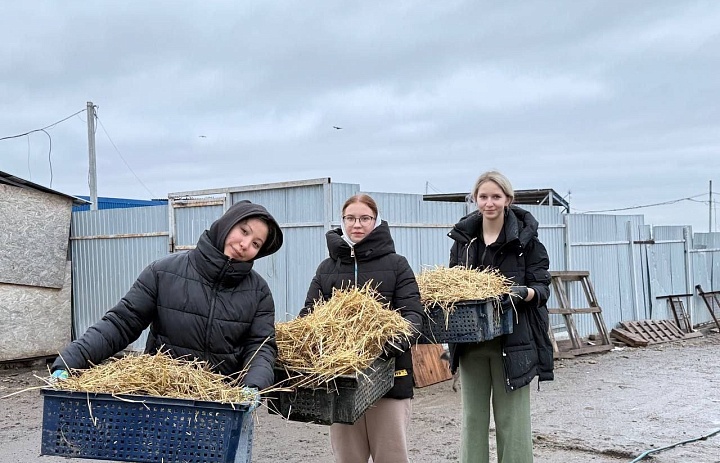 ЛАПЫ ПОМОЩИ: ПОЕЗДКА В ПРИЮТ